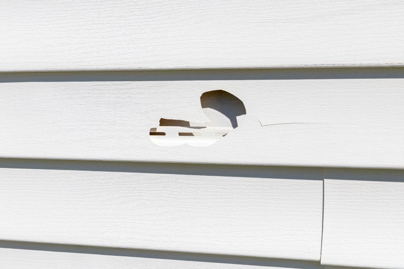 Vinyl Siding Repair Installation - Image 2